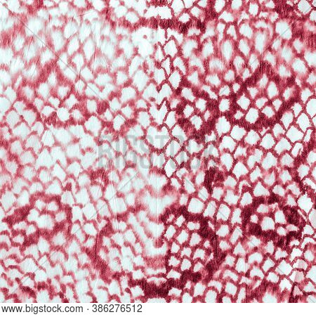 Snake Skin Pattern. Reptile Leather Wild Surface. Jungle Wild Wallpaper. Artistic Grunge Snake Textu