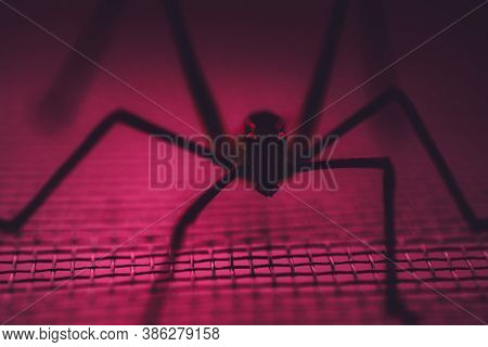 Aracnophobia Concept, Fear Horror. Selective Focus , Pink