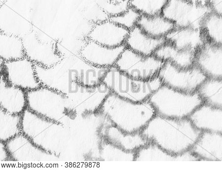 Snake Skin Pattern. Reptile Leather Animal Print. Trendy Jungle Illustration. Artistic Painted Fabri