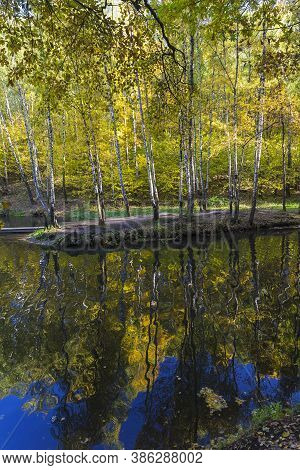 Reflection Of Coastal Trees In The Water Surface. Pond In The Landscape Reserve Teply Stan, Moscow, 