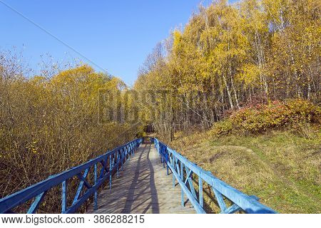 Trees With Yellowed Foliage On The Side Of A Ravine. Sunny Day In October. Landscape Reserve Teply S