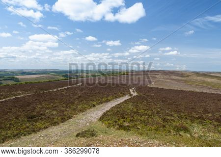 View From The Summit Of Dunkery Hill In Somerset