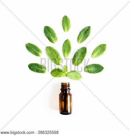 Essential Oil And Greenmint Leaves On White Background. Medicinal Herbs. Flat Lay. Top View.