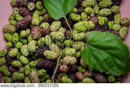 Morus Alba L. Fruits In White And Pink Colors Overlaid By A Branch Of Mulberry Leaves.