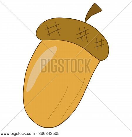 Elongated Brown Cartoon Acorn Wearing A Hat