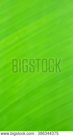 A Green Natural  Blur Background