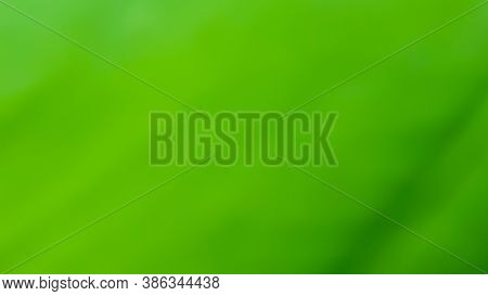 A Green Natural  Blur Background