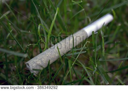 Selected Focus A Pre-rolls Cannabis Joints Marijuana Weed On A Fresh Lawn Grass Surface