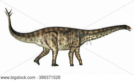 Spinophorosaurus Dinosaur Walking Isolated In White Background - 3d Render
