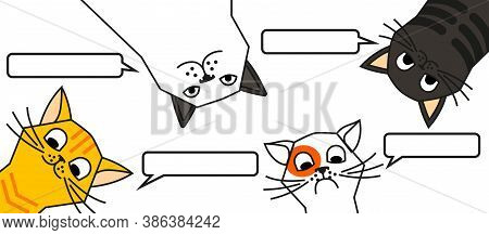 Cats Tell You Wake Up. Cat Meme