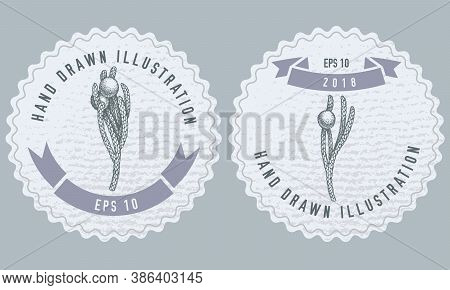 Monochrome Labels Design With Illustration Of Brunia Stock Illustration