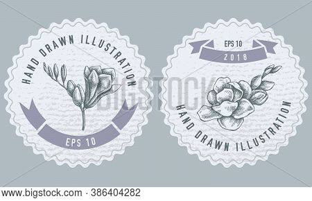 Monochrome Labels Design With Illustration Of Freesia Stock Illustration