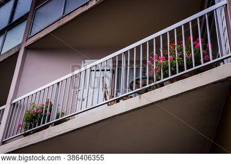 Balcon D\'immeuble Avec Rembarde Et Fleurs Dans Jardinières