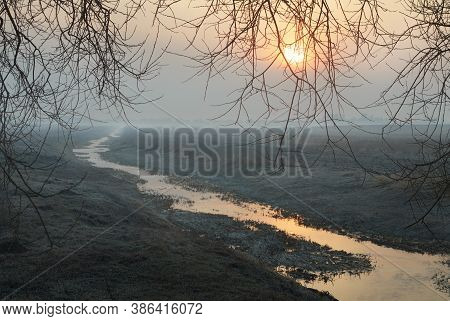 A Field With Trees Is Covered In Fog. Beautiful Sunrise In The Countryside In The Countryside. A Mys