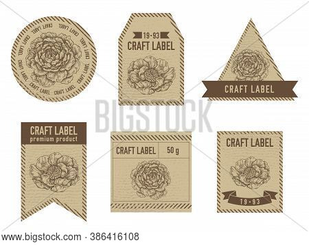 Craft Labels Vintage Design With Illustration Of Peony Stock Illustration