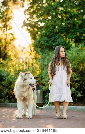 Young Woman With Innate Disorder Dwarfism Leads On A Leash Malamute Dog While Walking In Park.