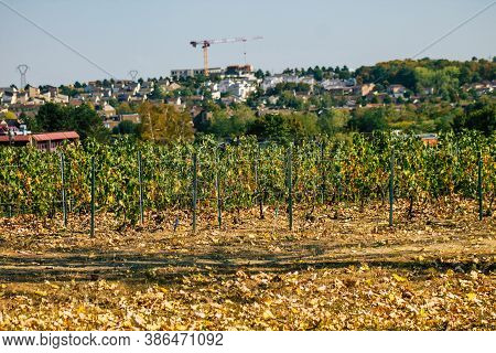 Colors Of France