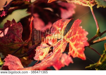 Colors Of France