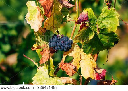 Colors Of France