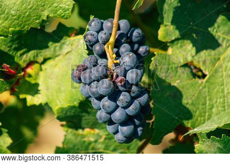 Colors Of France