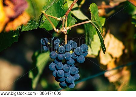 Colors Of France