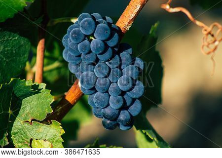 Colors Of France