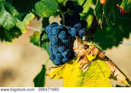 Colors Of France