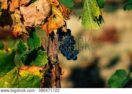 Colors Of France