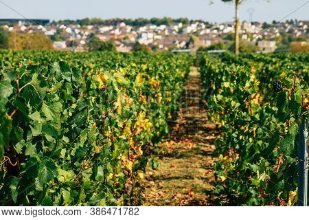 Colors Of France