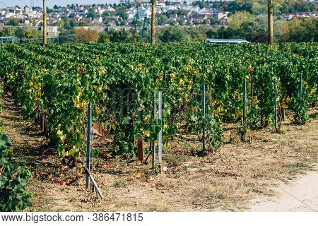 Colors Of France
