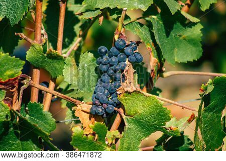 Colors Of France