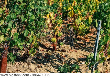 Colors Of France