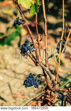 Colors Of France