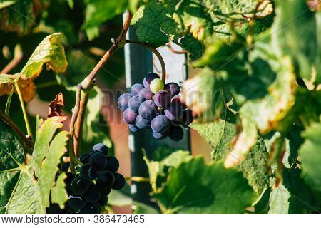 Colors Of France