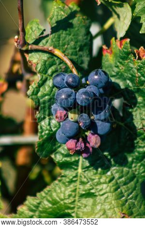 Colors Of France