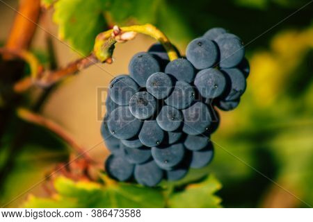 Colors Of France