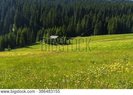 Mountain Landscape At Summer Along The Road To Campolongo Pass, Dolomites, Bolzano Province, Trentin