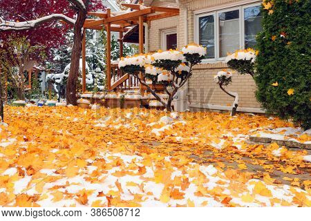 Early Snow Background, Climate Changing Concept. Scenic Morning Landscape With Autumn Bright Color T