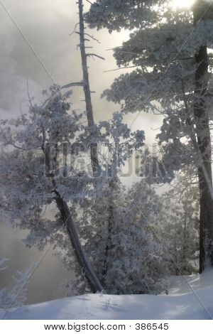 Raskas Hoar Frost