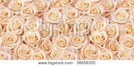 Béžové růže Bezešvé Pattern