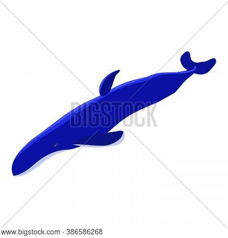Big Whale Isolated On White. The Largest Marine Mammal. Vector Eps10.