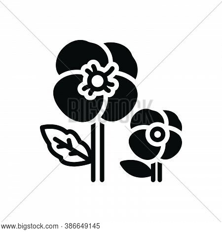 Black Solid Icon For Pansy Ladylike Florist Spring Petals Fragrance Flower Blossom Delicate Decorate