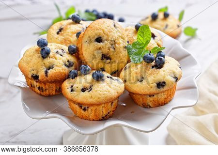 Blueberry Muffins Baked With Fresh Blueberries On A White Cake Stand With Fresh Mint On Top On A Whi