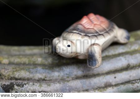 Baked Clay Of Turtle Put Decorate On The Edge Of Cement Pot. Turtle Pottery On The Edge Of Pot And B