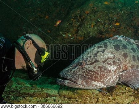 Colorful Ocean Life On A Beautiful Background