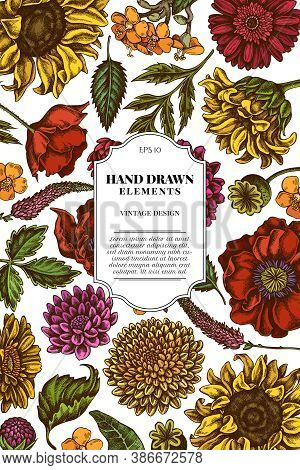Card Design With Colored Poppy Flower, Gerbera, Sunflower, Milkweed, Dahlia, Veronica Stock Illustra