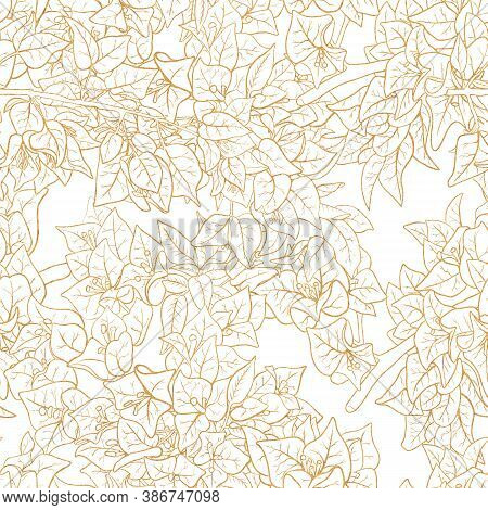 Seamless Pattern With Flowers Of Bougainvillea. Hand Drawn Illustration. Good Design For Wrapping Pa
