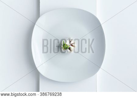 White plate view from top on a plate of garlic