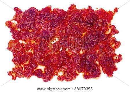 Lugar de frutos rojos