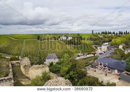 franzÃ¶sische Weinberge und Stadt